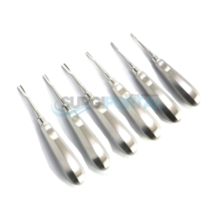 6Pc Dental Root Elevator Set