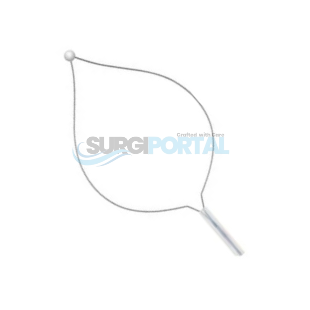 Electrosurgical Snare