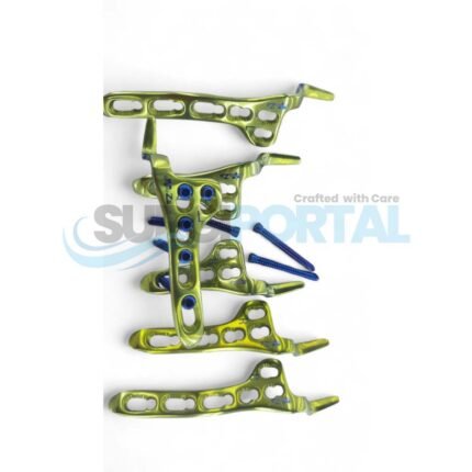 Locking Clavicle Hook Plate with Screws