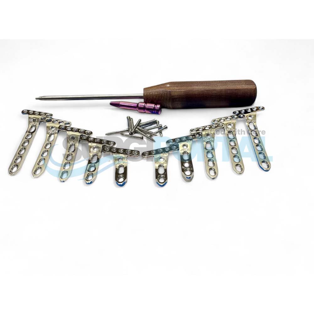 Untitled design - 254 Variable Angled Locking Extra Articular Oblique Plate with Screws Set Stainless Steel - Image 1