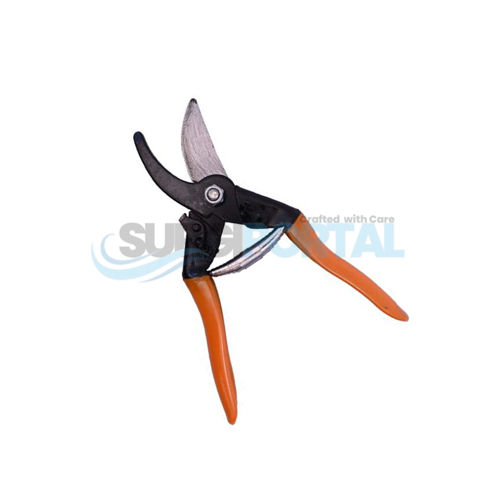 Hoof Trimmer Small for Cow Horse Sheep Goat Donkey for Animal Hoof Cutting 1 Pc Hoof Trimmer Small for Cow Horse Sheep Goat Donkey for Animal Hoof Cutting 1 Pc - Image 1