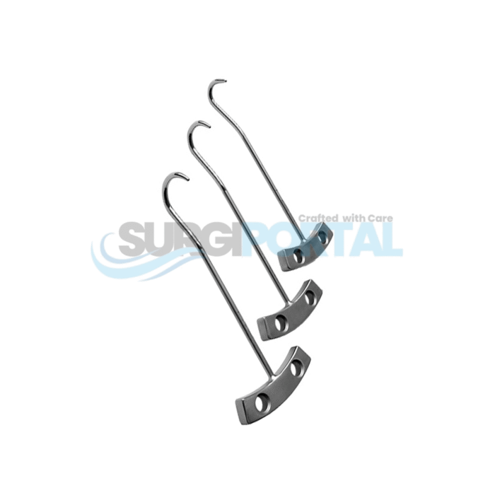 Lombardi Bone Hooks - Image 1