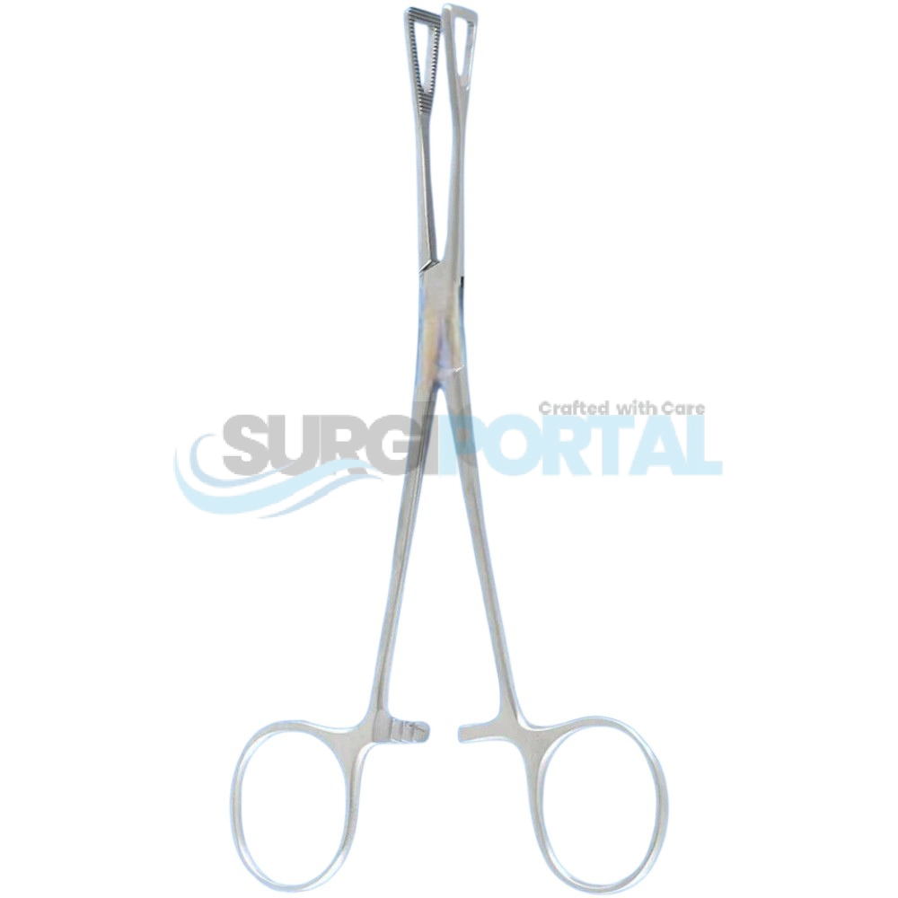 Untitled design (18) 20.3 cm Collin Intestinal Forceps, Grasping Lung Tissue - Image 1