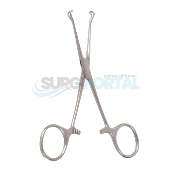 5¼ inch Petite Point Babcock Forceps 6mm Jaw - Image 1