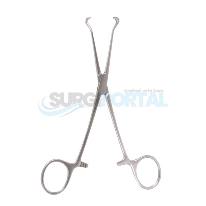6¼ inch Babcock Tissue Forceps 8mm Jaw Width - Image 1