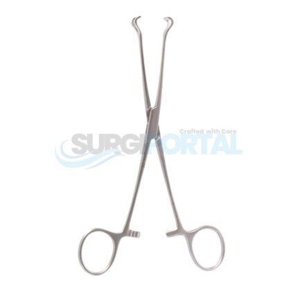 7¼ inch Babcock Tissue Forceps 11mm Jaw