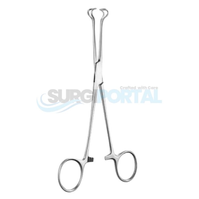 9 inch Babcock Tissue Forceps - Image 1