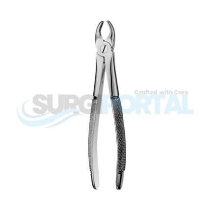 1 European Style Forceps, Upper Anteriors instrument