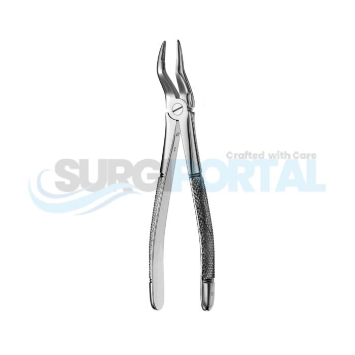 51 European Style Root Forceps, Serrated - Image 1