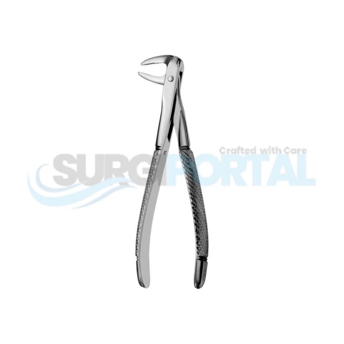 74N European Style Root Forceps, Serrated Instrument - Image 1