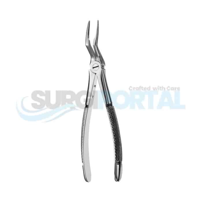 97 European Style Forceps, Serrated, Upper Roots - Image 1