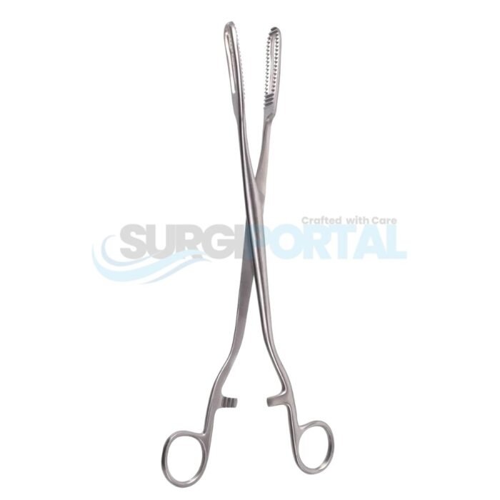 Bierer Ovum Forceps – 16 mm Jaws, 11" - Image 1