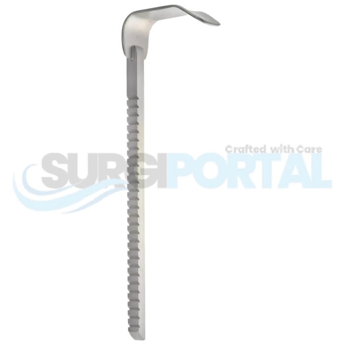 Workhorse Kelly Retractor 1″ x 2 ½″ - Image 1